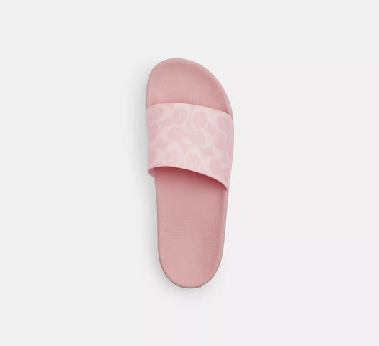 Coach Signature Canvas Slides