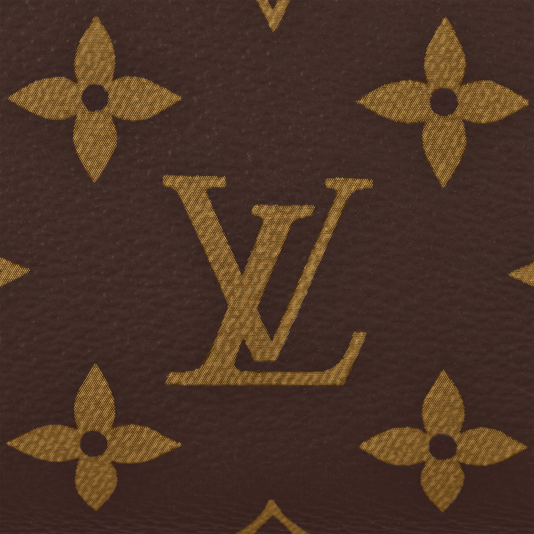 LV Speedy 20 Bag