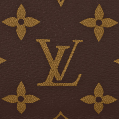 LV Speedy 20 Bag